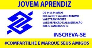 Jovem Aprendiz